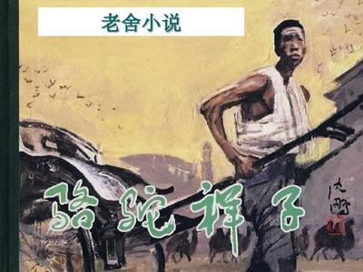 pr九尾狐正能量网站